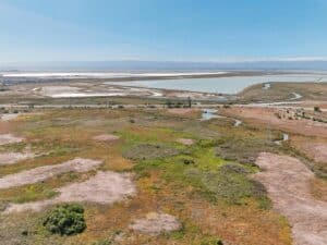 8161 Merion Dr., Newark, CA